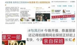 张昊唯爆料赵丽颖最新消息动态,张昊唯爆料，神秘事件引关注
